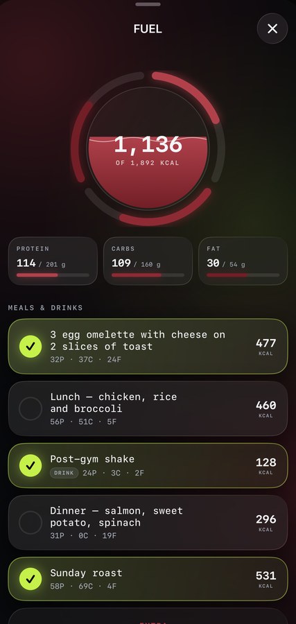 FUEL in Sealed: the plate filling with the day’s calories, protein, carbs and fat on the rim, meals as rows beneath